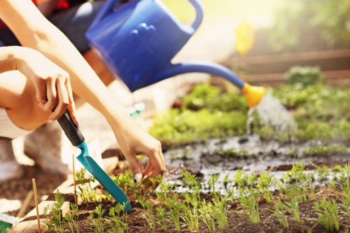 Gardener tidying a front garden in Fulham terrace
