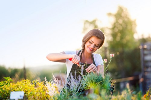 Overview of a well-maintained Fulham garden with workers starting maintenance