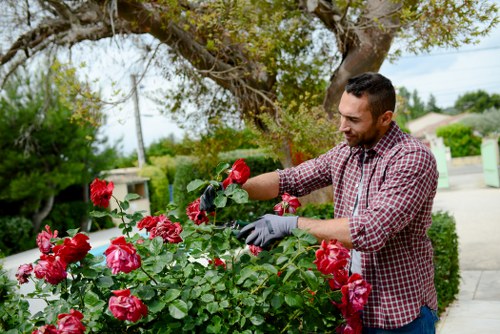 Close-up of gardeners assessing a planting bed for maintenance