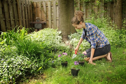 A young woman with brown hair tied back wearing a blue checked shirt and black jeans is kneeling on a well-maintained garden lawn, planting or tending to small flowering plants in black pots. The garden features a dense, green hedge along a wooden fence, with a large tree trunk visible in the background. To her left, there are lush, tall green plants and flowering bushes with white blossoms. The scene is set on a cloudy day, with soft natural light illuminating the vibrant green grass, the variety of plants, and the earthy soil. The garden appears orderly and inviting, with a blend of cultivated flower beds and natural foliage, reflecting typical outdoor maintenance and landscaping that a professional gardening service like Garden Maintenance Fulham would support in a residential outdoor space near Fulham, London.