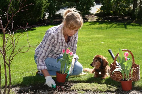 Choosing plants suitable for Fulham gardens